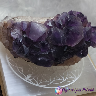 Crystal Amethyst Raw Geode Cluster
